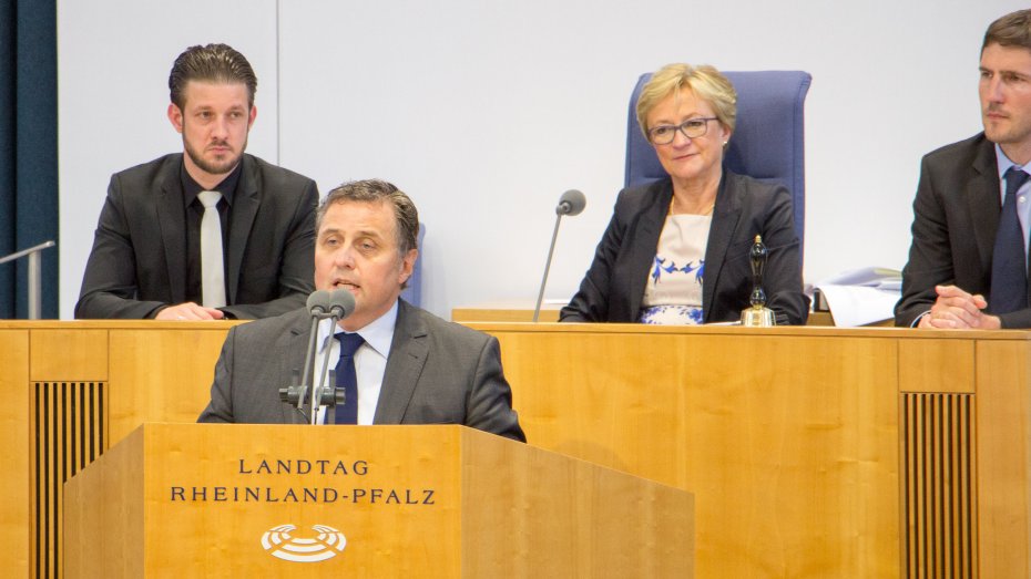 Thomas Roth im Landtag von Rheinland-Pfalz (Archivfoto)