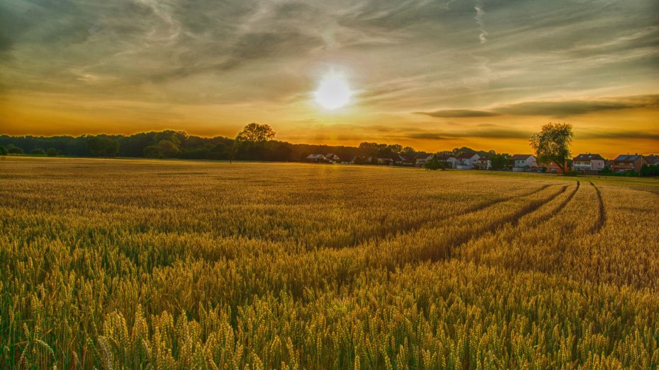 Symbolbild: Landwirtschaft