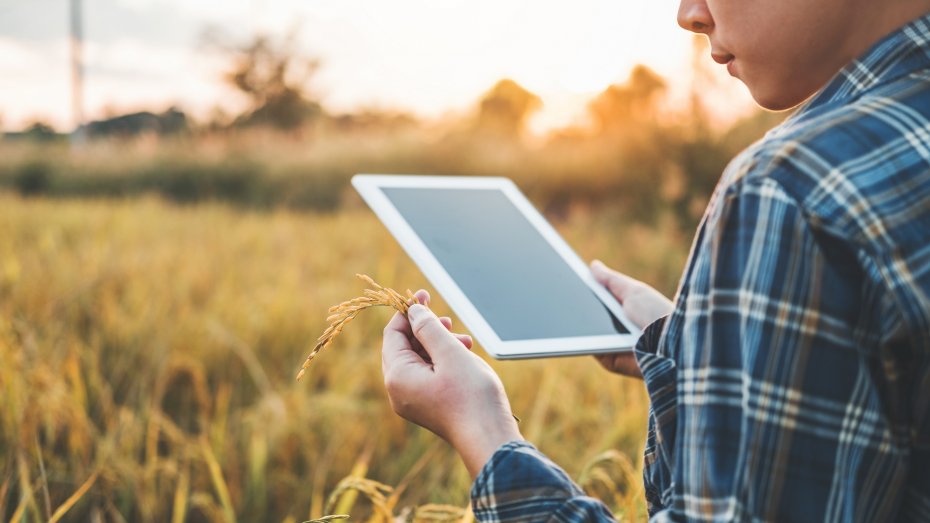 Mann mit Tablet vor Feld