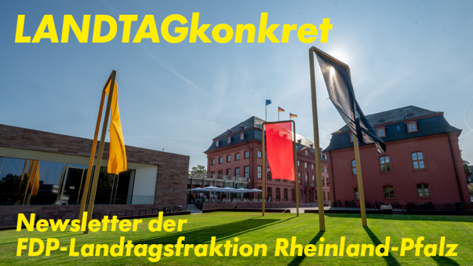 Newsletter: LANDTAGkonkret