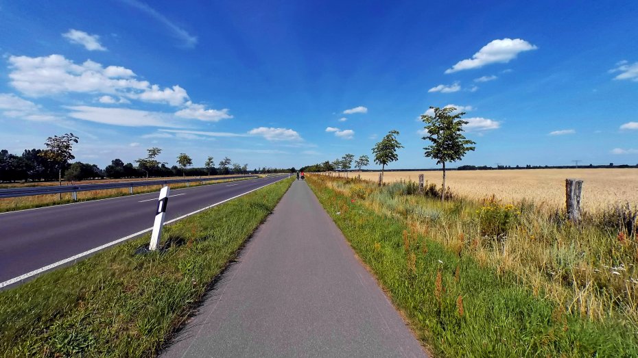 Symbolbild: Landstraße und Radweg