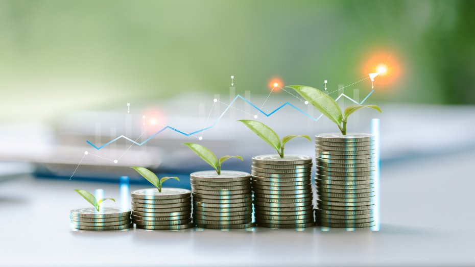 Symbolbild: Ansteigende Geldstapel und wachsende Pflanze