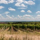 Symbolbild: Landschaft in Rheinland-Pfalz