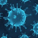 Symbolbild: Corona-Virus (Quelle: ahmet / Adobe Stock)