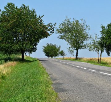 Symbolbild: jingoba - pixabay.com