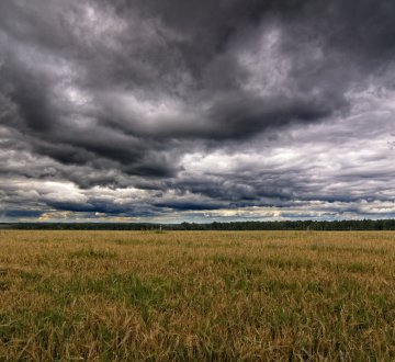 Symbolbild: Unwetter über Feld