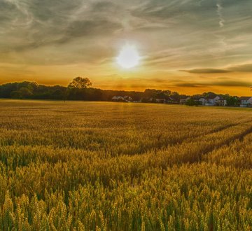 Symbolbild: Landwirtschaft