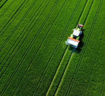 Symbolbild: Traktor auf Feld