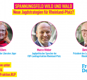 Online-Veranstaltung "Spannungsfeld Wild und Wald"