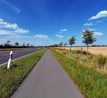 Symbolbild: Landstraße und Radweg