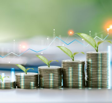 Symbolbild: Ansteigende Geldstapel und wachsende Pflanze